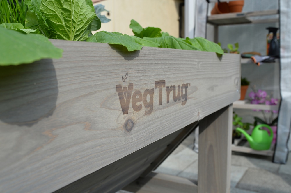 VegTrug Classic Outdoor Cedar Wood Raised Garden Bed Planter, Medium