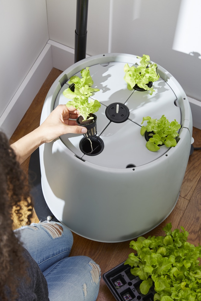 Root Farm Hydro Garden System For Hydroponics Canadian Tire