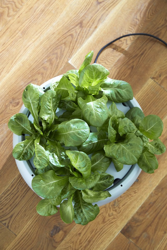 Root Farm Hydro Garden System For Hydroponics Canadian Tire