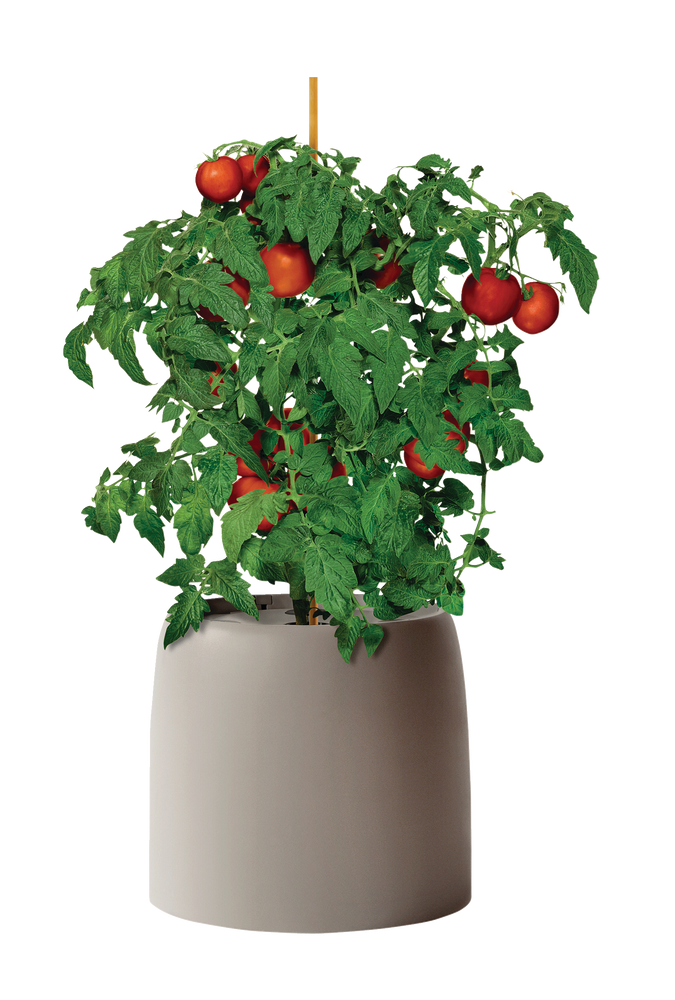 Root Farm Hydro Garden System For Hydroponics Canadian Tire