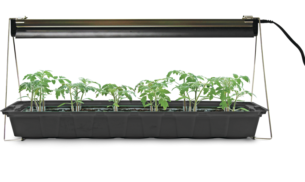 Jiffy Hydro Grow Light System For Seedlings & Cuttings Canadian Tire