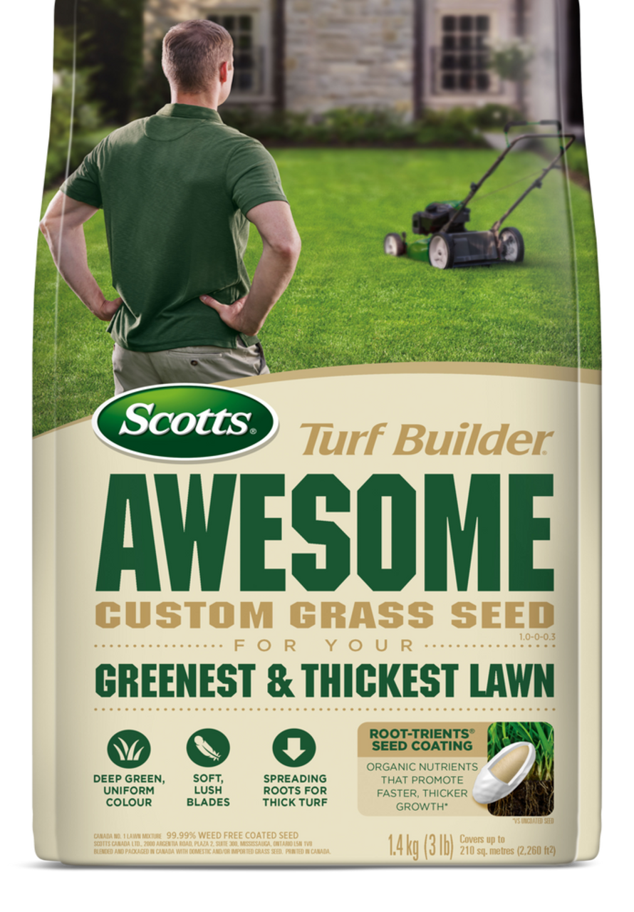 Canadian tire 2024 grass seed