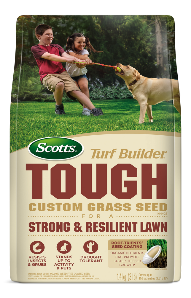 Canadian tire 2024 grass seed