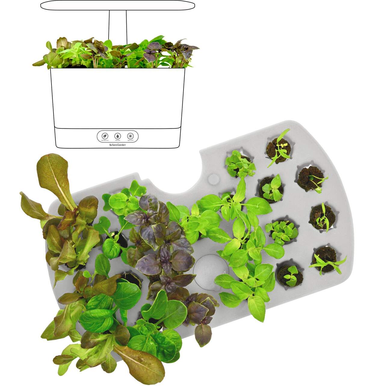 20 Éponges De Croissance De Plantes Compatibles Avec Les - Temu Canada