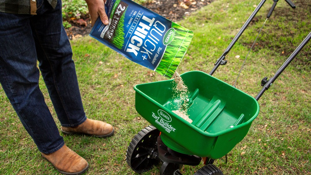 Scotts Turf Builder Quick + Thick™ Sun & Shade Grass Seed & Fertilizer