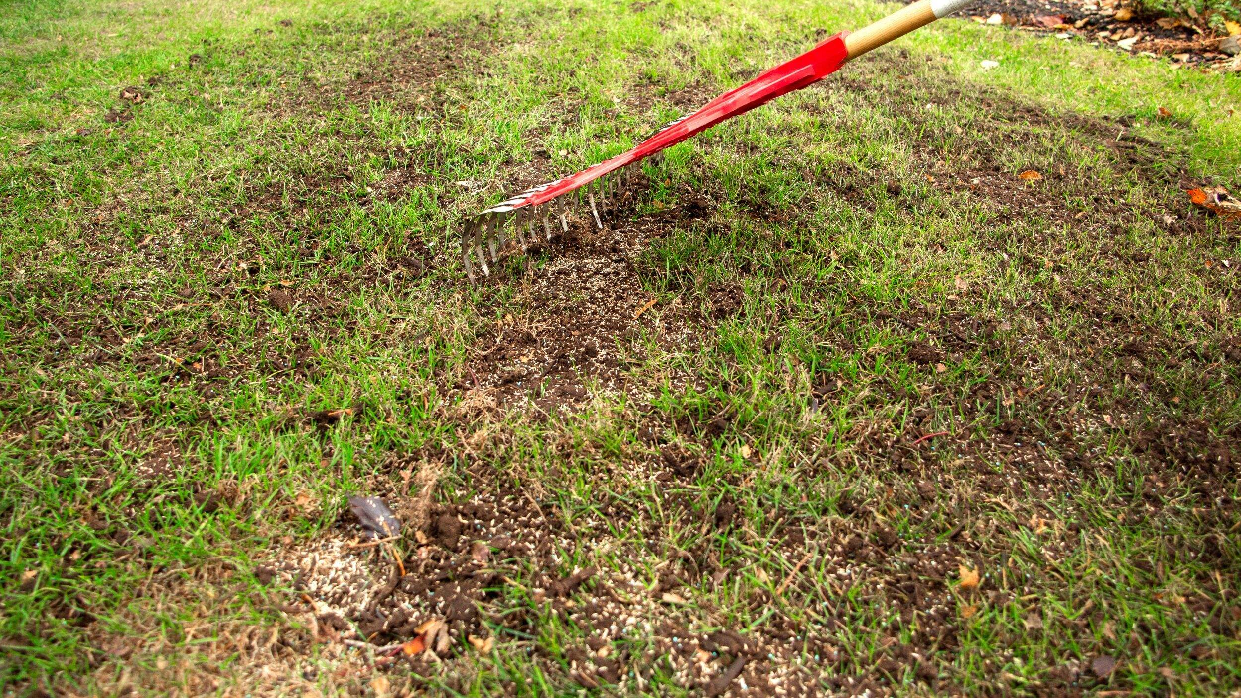 Scotts Turf Builder Quick + Thick™ Sun & Shade Grass Seed & Fertilizer ...