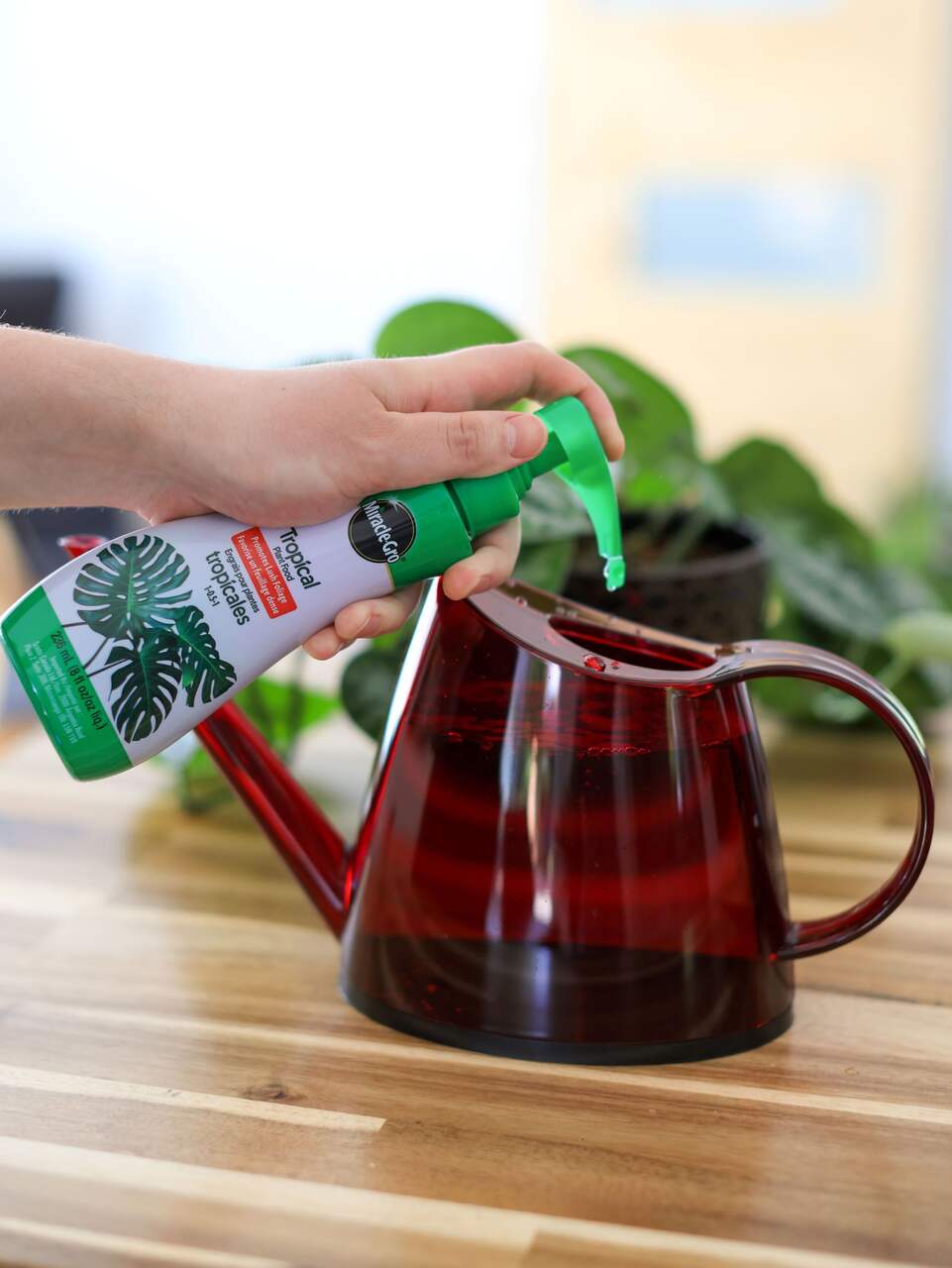 Engrais pour plantes d'intérieur Miracle-Gro, 236 mL