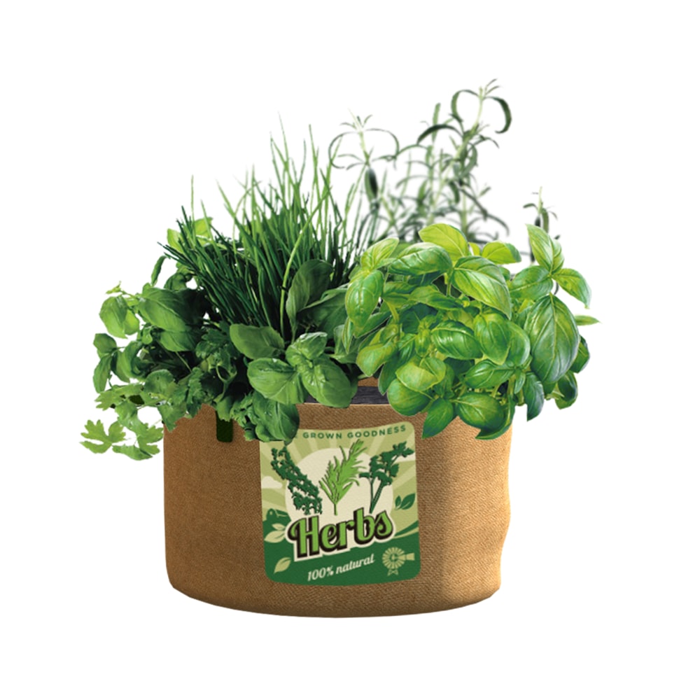 Panacea AllNatural Burlap Herb Grow Bag, Durable Plant Container