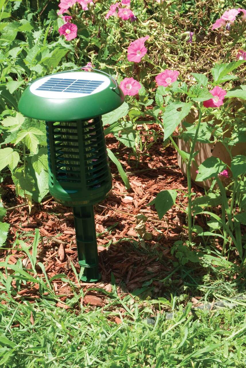 PIC 60W 600V Solar Weather-Proof Accent Light Electric Mosquito/Insect  Killer Torch