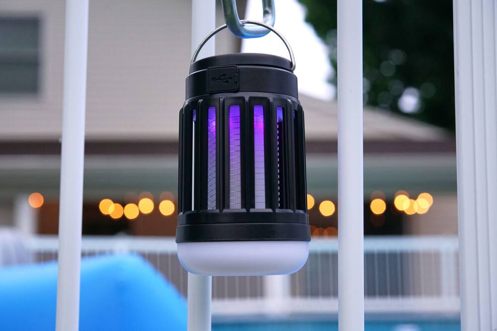 insect killer lantern pic