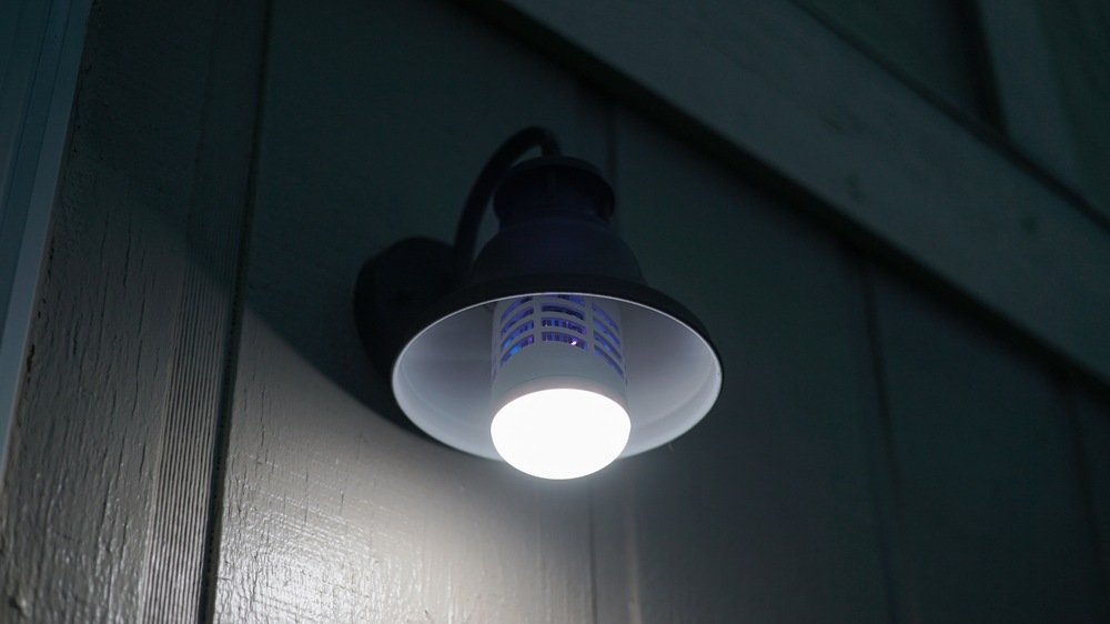 Pic Insect Bulb Canadian Tire - High Ceiling Light Bulb Changer Canadian Tire Pic Insect Bulb Canadian Tire - High Ceiling Light Bulb Changer Canadian Tire