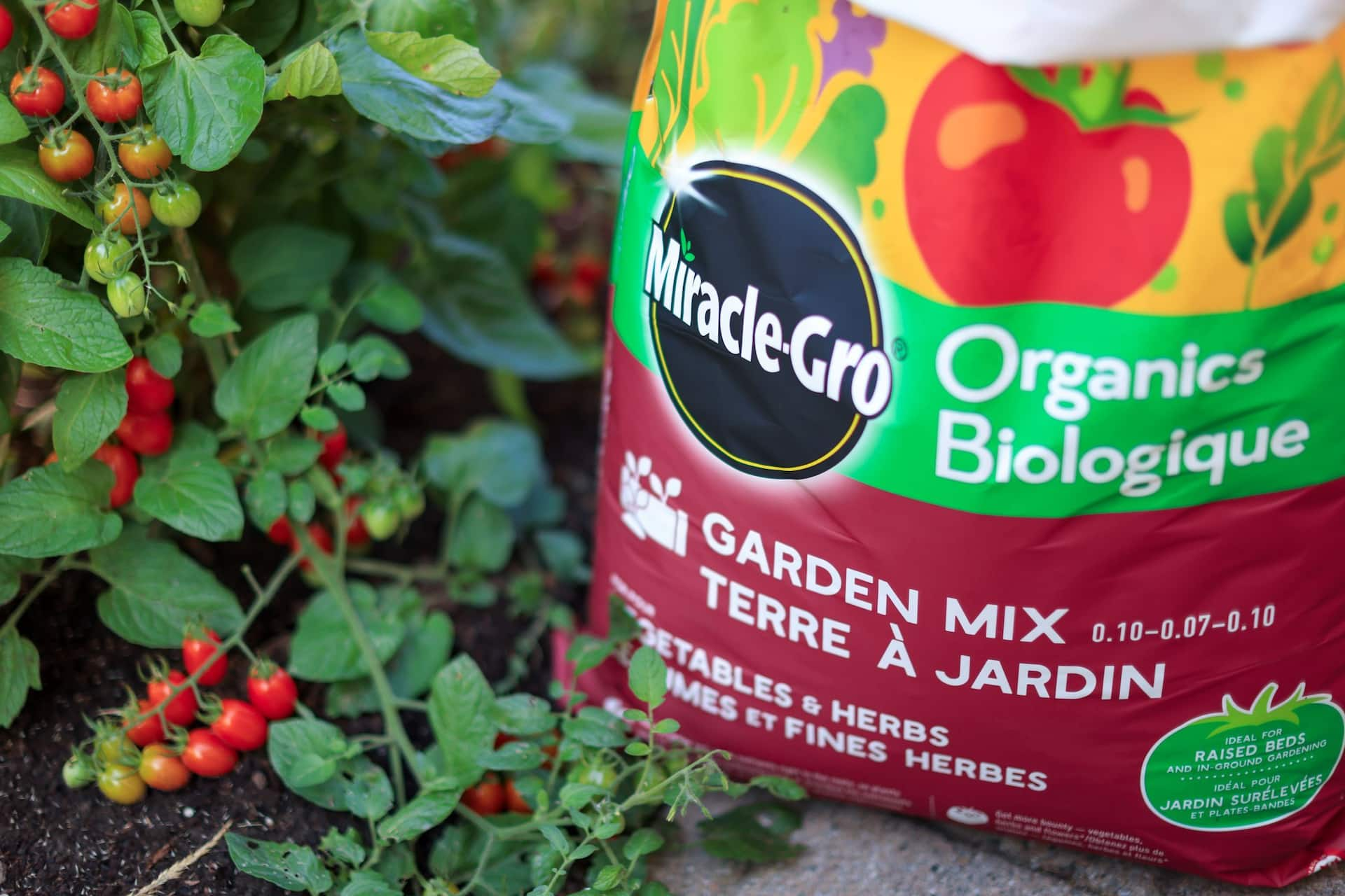 Miracle Gro Organic Vegetable & Herbs Soil, 42.5-L | Canadian Tire