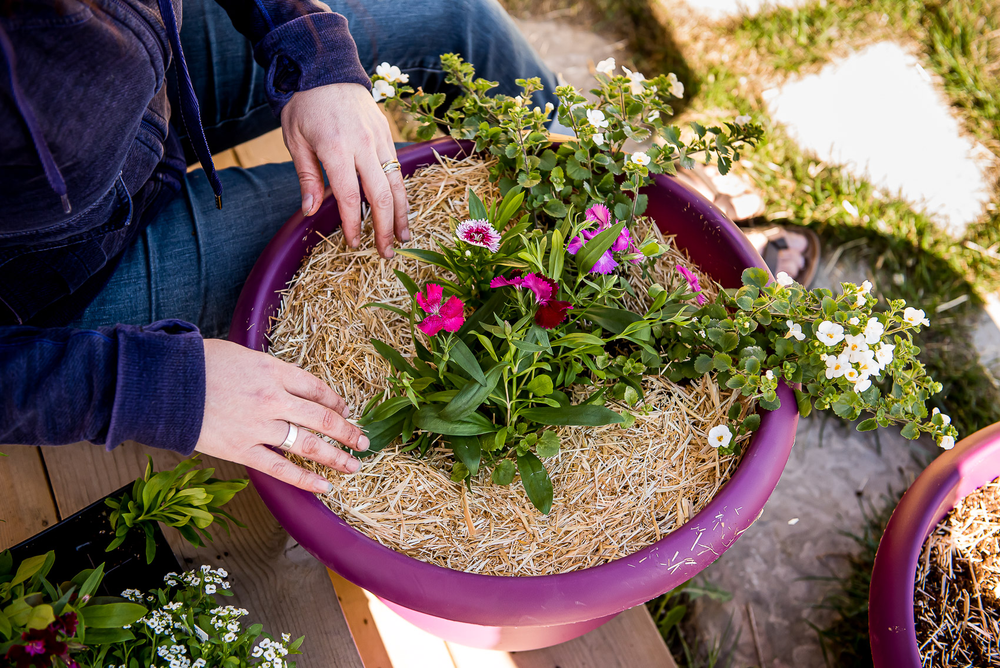 GardenStraw Mini Premium Garden Mulch, 100 Wheat Straw, 0.5cu.ft