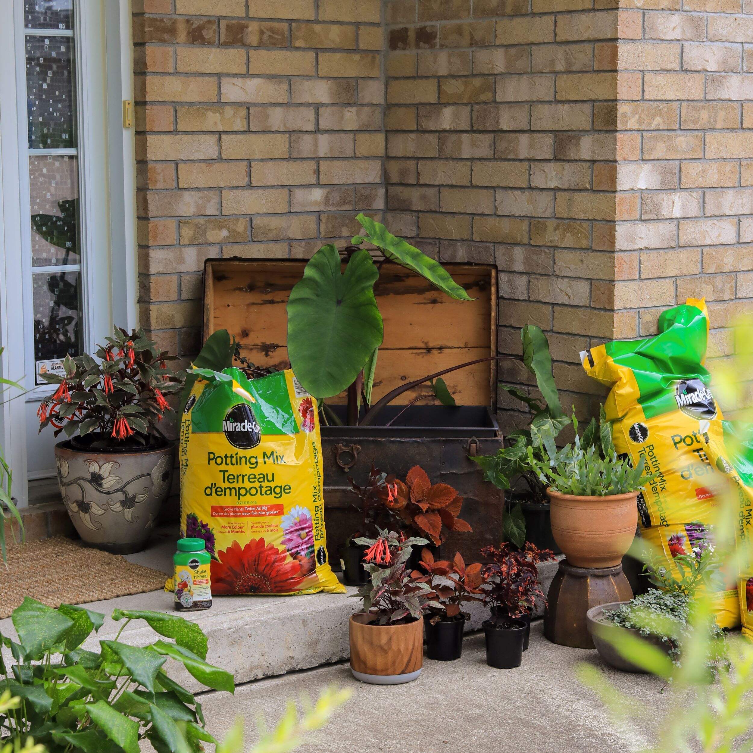 Gardening Gold Rush Miracle Gro Potting Soil Sale Sweeps Your Town - 13p2i88
