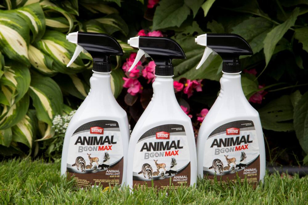 Ortho® Animal B Gon™ MAX Animal Repellent, 1-L | Canadian Tire