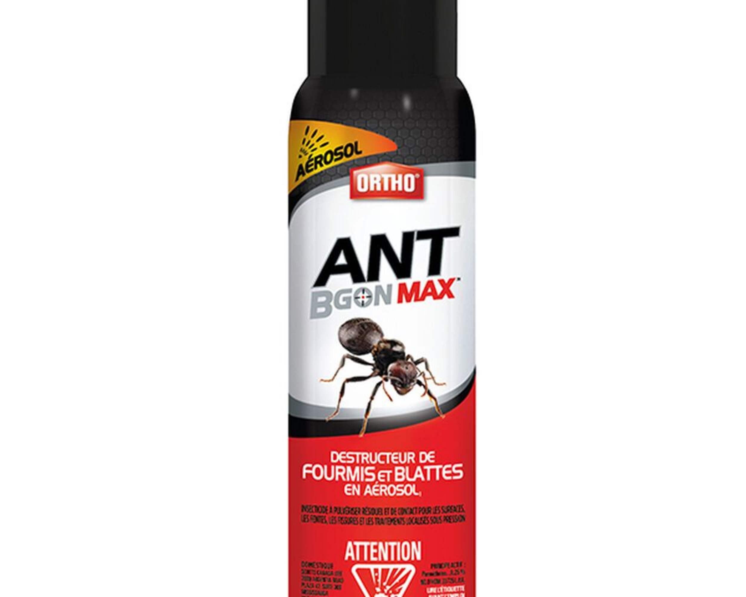 Ortho® Ant B Gon Max® Ant & Roach Killer Spray, 400-g Front_Flat