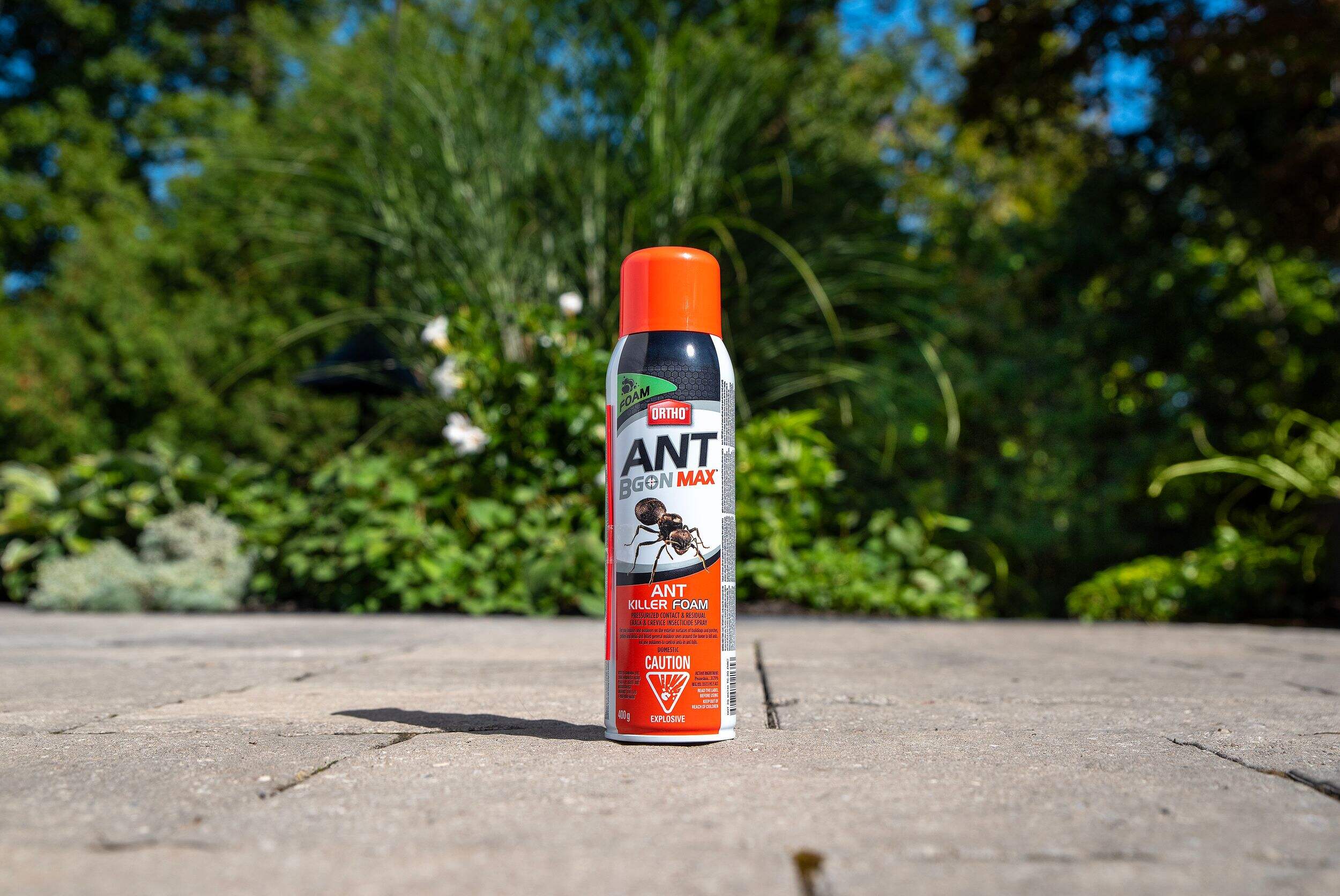 Ortho® Ant B Gon® Max Indoor/Outdoor Ant Hill/Nest Killer Foam Aerosol