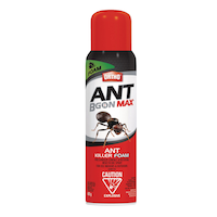 Ortho® Ant B Gon Max® Ant & Roach Killer Foam, 400-g Front_Flat