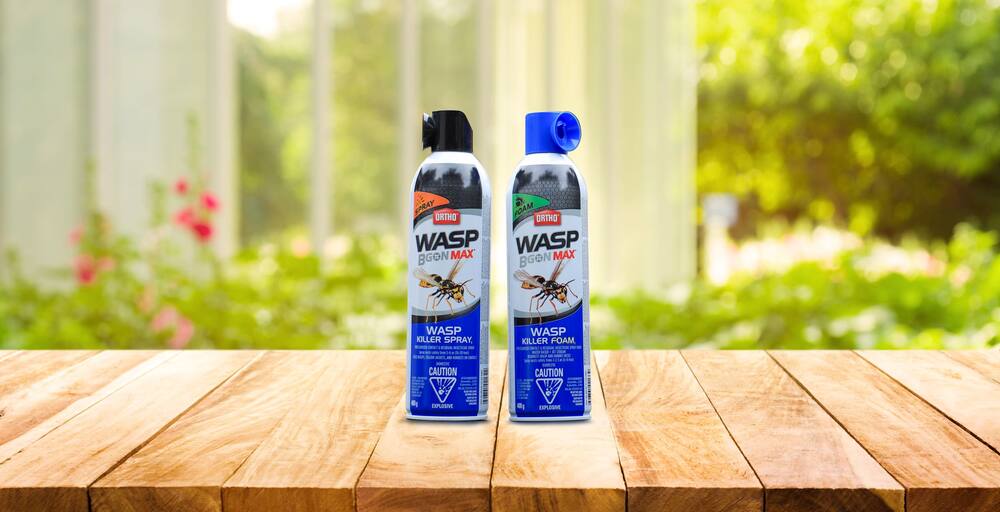 Ortho® Wasp B Gon™ MAX Wasp Killer Aerosol Spray, 400-g | Canadian Tire