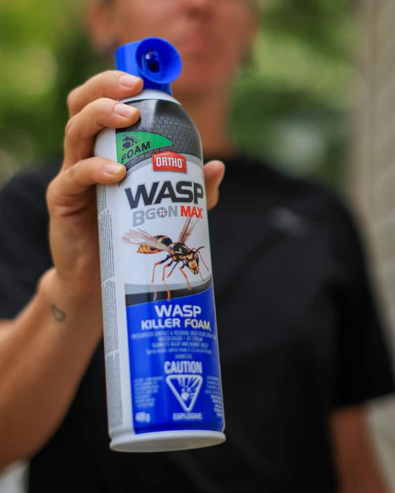 Ortho® Wasp B Gon™ MAX Outdoor Foam Wasp Killer Aerosol Spray, 400-g ...