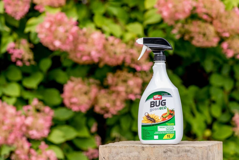 Ortho® Bug B Gon™ ECO Indoor/Outdoor Ready-to-Use Insecticide Soap, 1-L ...