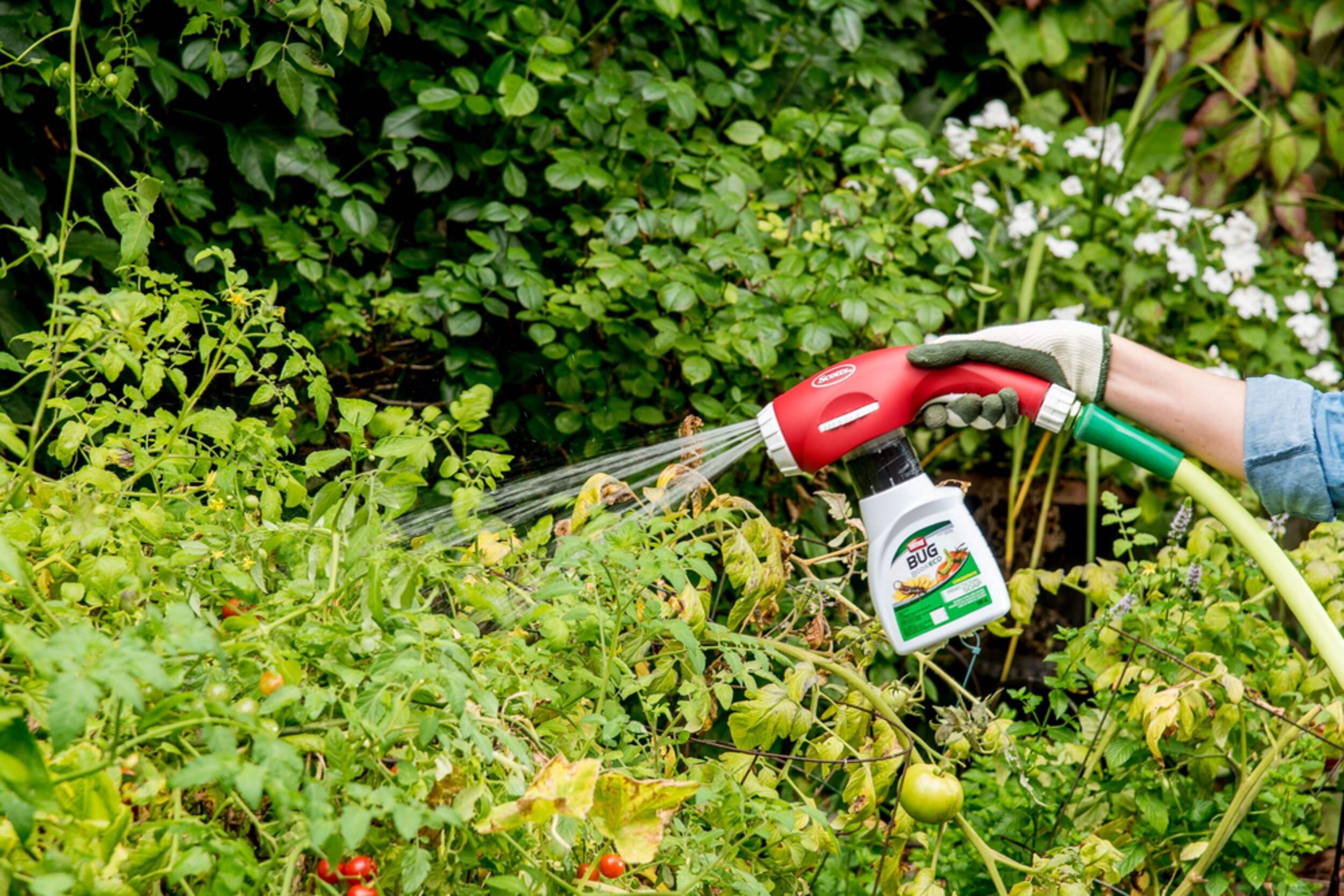 Ortho® Bug B Gon™ Eco Outdoor Insecticidal Soap Concentrate, 500mL