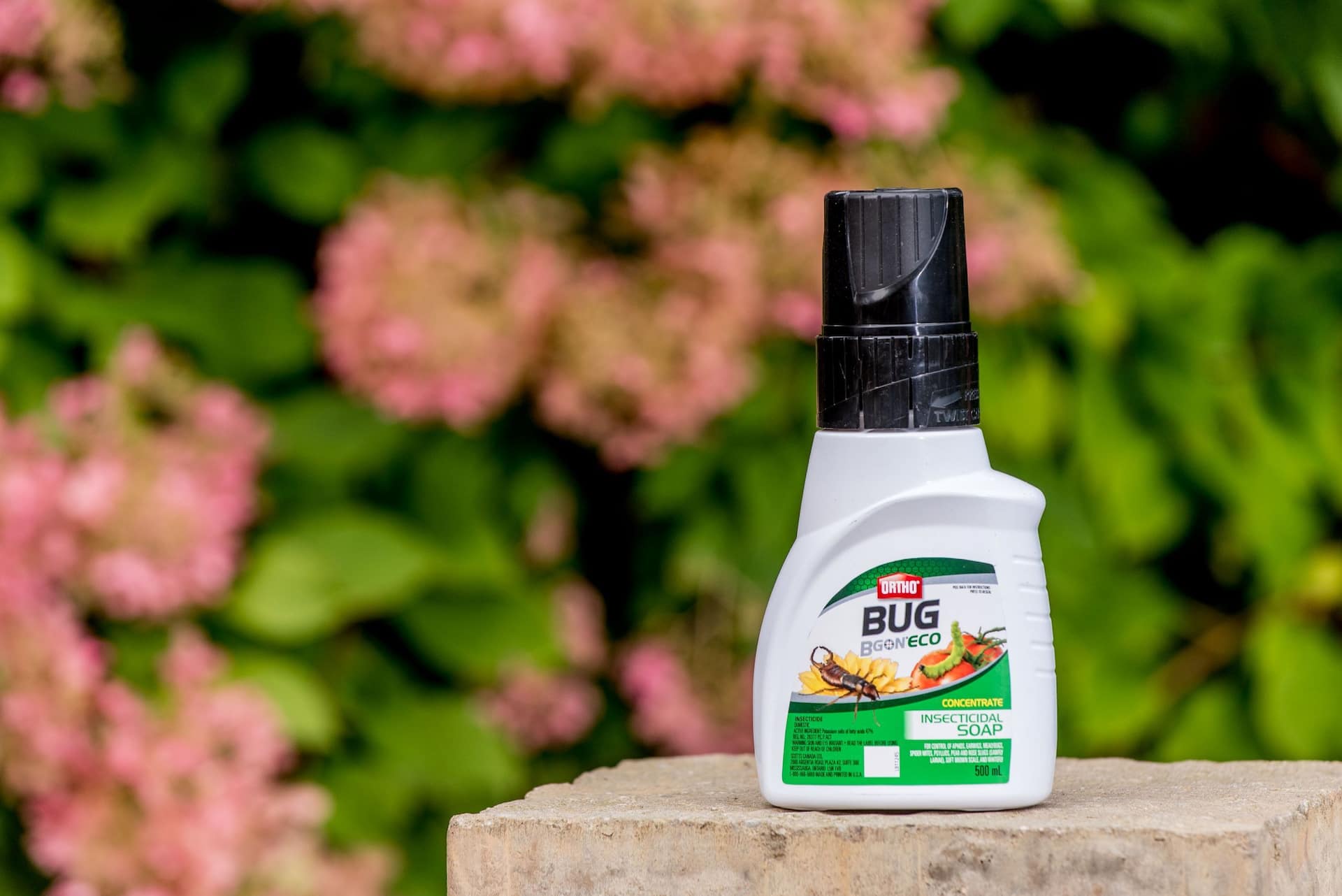 Ortho® Bug B Gon™ Eco Outdoor Insecticidal Soap Concentrate, 500-mL ...