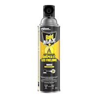 Mousse insecticide Raid MAX contre les guêpes et les frelons, vaporisateur, 500 g Front_Flat