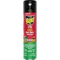 Insecticide Raid pour nids de fourmis d’extérieur, 400 g Front_Flat