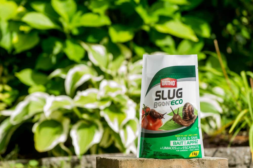 Ortho® Slug B Gon Eco Ready-to-Use Slug & Snail Bait, 1-kg | Canadian Tire