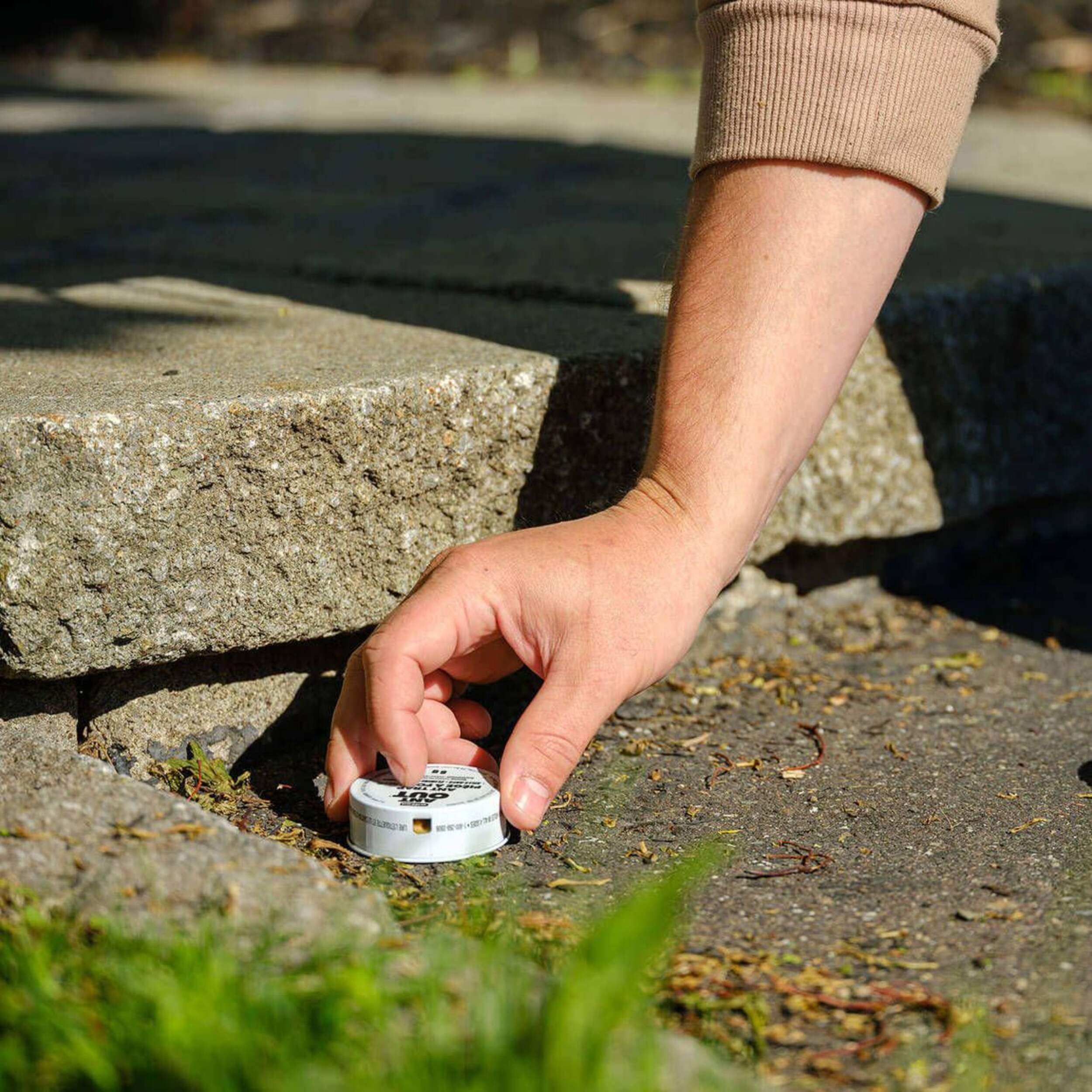 Ant Traps Canadian Tire