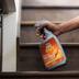 Wilson AntOut Indoor/Outdoor Ant Spray, Insecticide Spray, 1-L Front_Flat