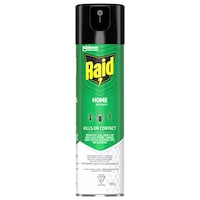 Raid Indoor/Outdoor Home Insect Killer Spray, 350-g Front_Flat