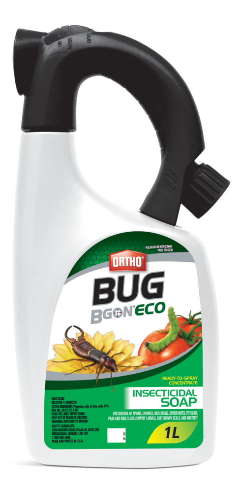 Ortho Bug B Gon® ECO Indoor/Outdoor Ready-to-Use Insecticidal Soap ...