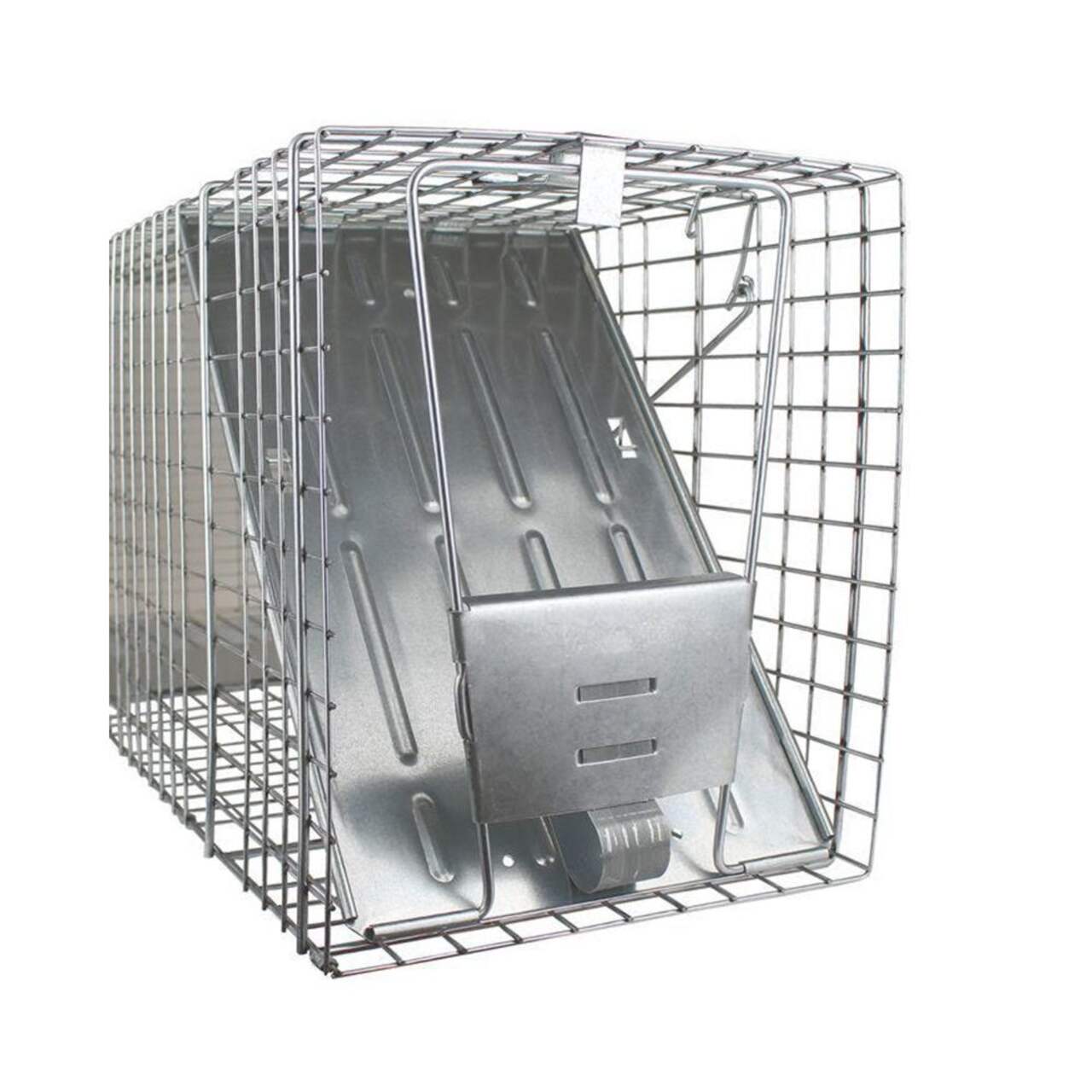 https://media-www.canadiantire.ca/product/seasonal-gardening/gardening/weed-insect-and-pest-control/1591062/havahart-raccoon-live-trap-01524bac-07ee-49cb-82ce-0127c21b09c3-jpgrendition.jpg?imdensity=1&imwidth=640&impolicy=mZoom