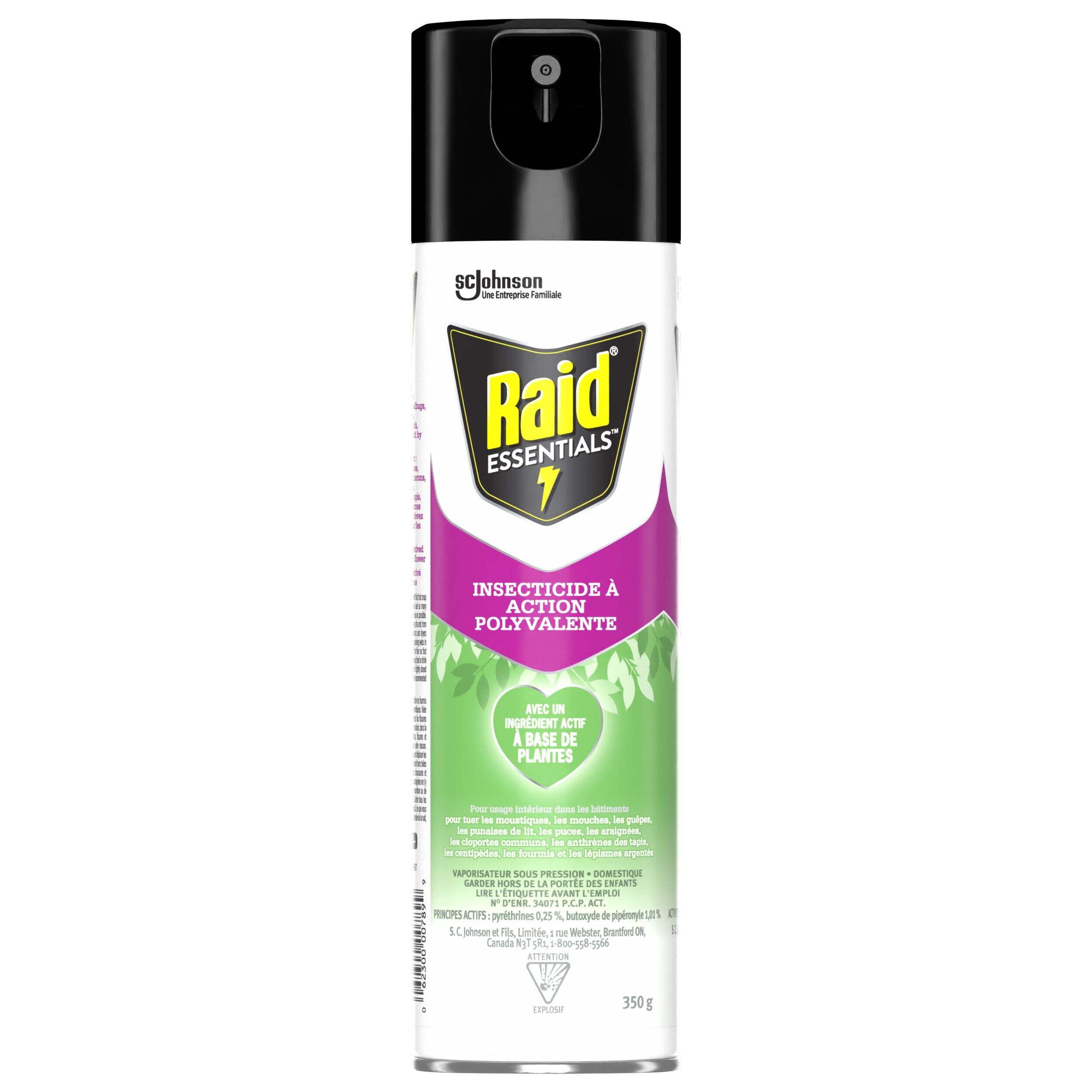 Insecticide en vaporisateur Raid Essentials Multi-Bug Killer, 350 g Front_Flat