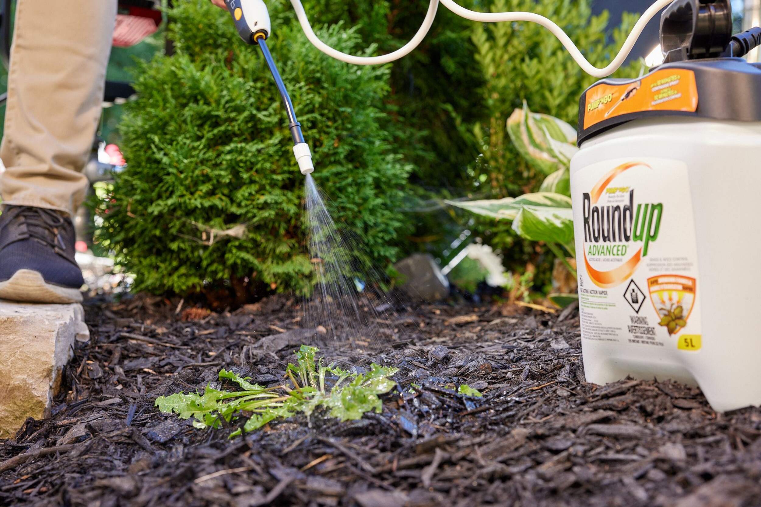 Roundup Advanced ReadytoUse Grass and Weed Control/Killer with PumpN