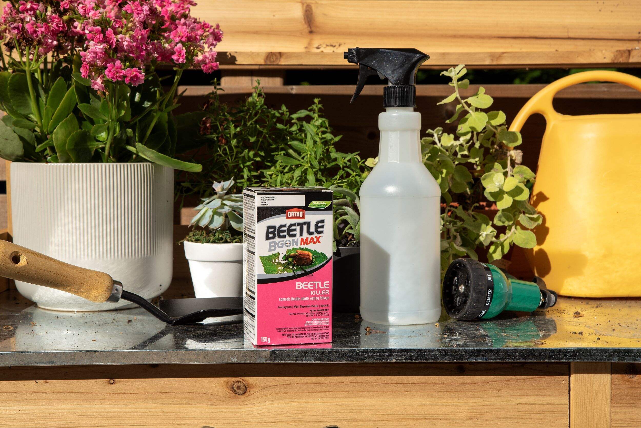 Ortho Beetle B Gon Max, Beetle Killer, 150g Canadian Tire