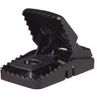 Tomcat Reusable Rat Snap Trap Front_Three_Fourths_Angled_Left