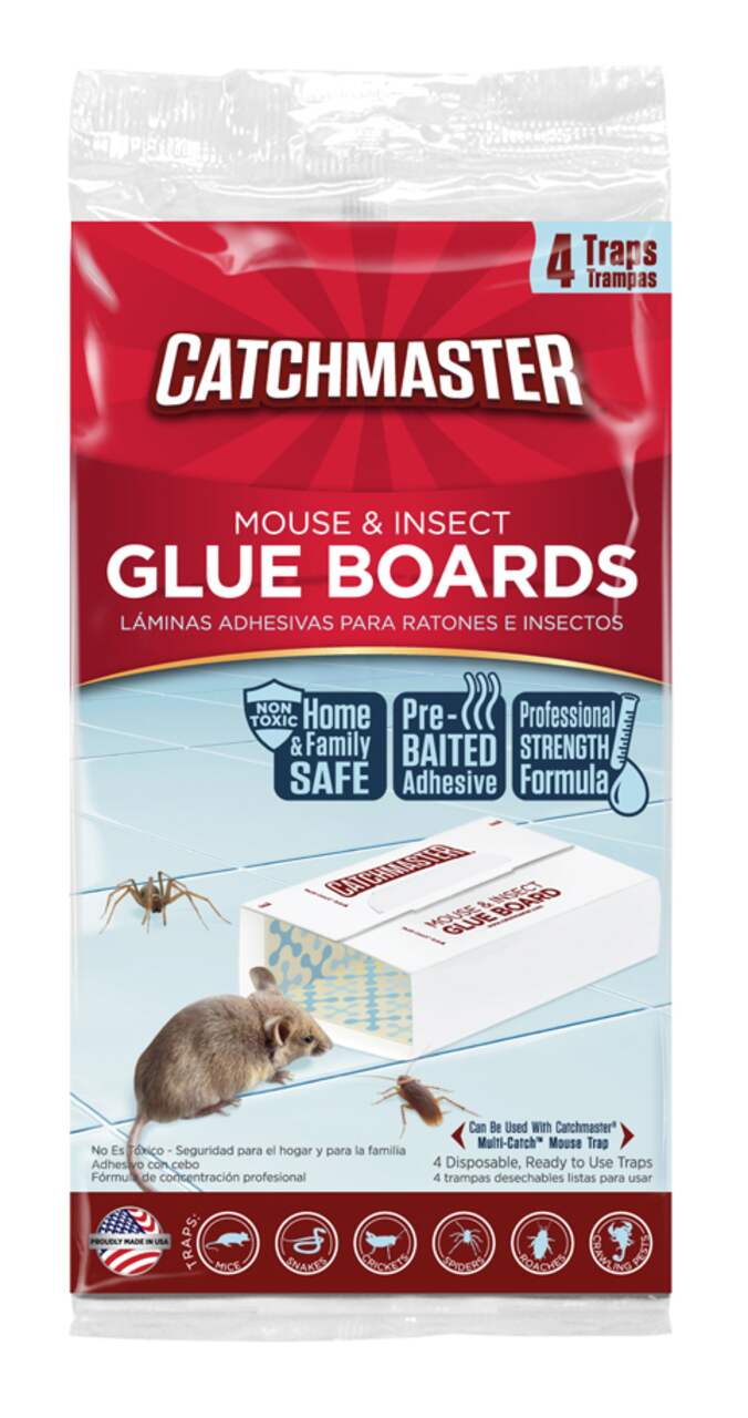 Pièges à panneaux adhésifs pour souris et insectes Pro-Strength
