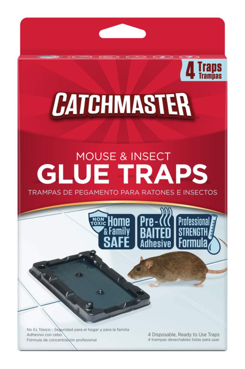 Tell Canadian Tire to stop using cruel glue traps – Vancouver