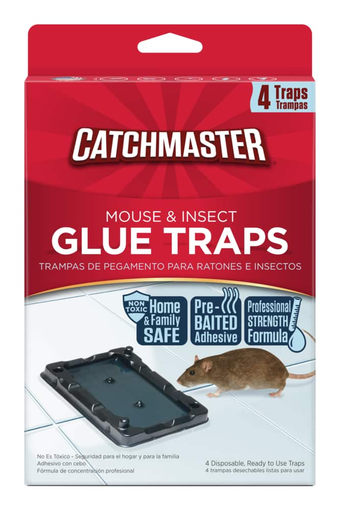 Real-Kill Large Rat and Mice Glue Traps (2-PacK) HG-10096MP - The Home Depot