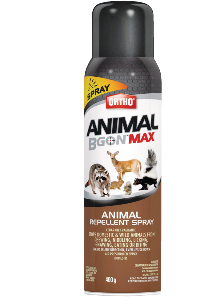 Ortho® Animal B Gon™ MAX Outdoor Ready-to-Use Animal Repellent Spray, 400-g  | Canadian Tire