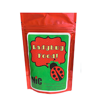 Nourriture pour insectes d'extérieur naturelle, coccinelle, général