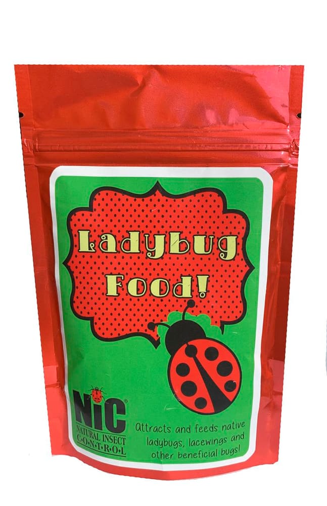 Natural Insect Control Outdoor General Predator Ladybug Food
