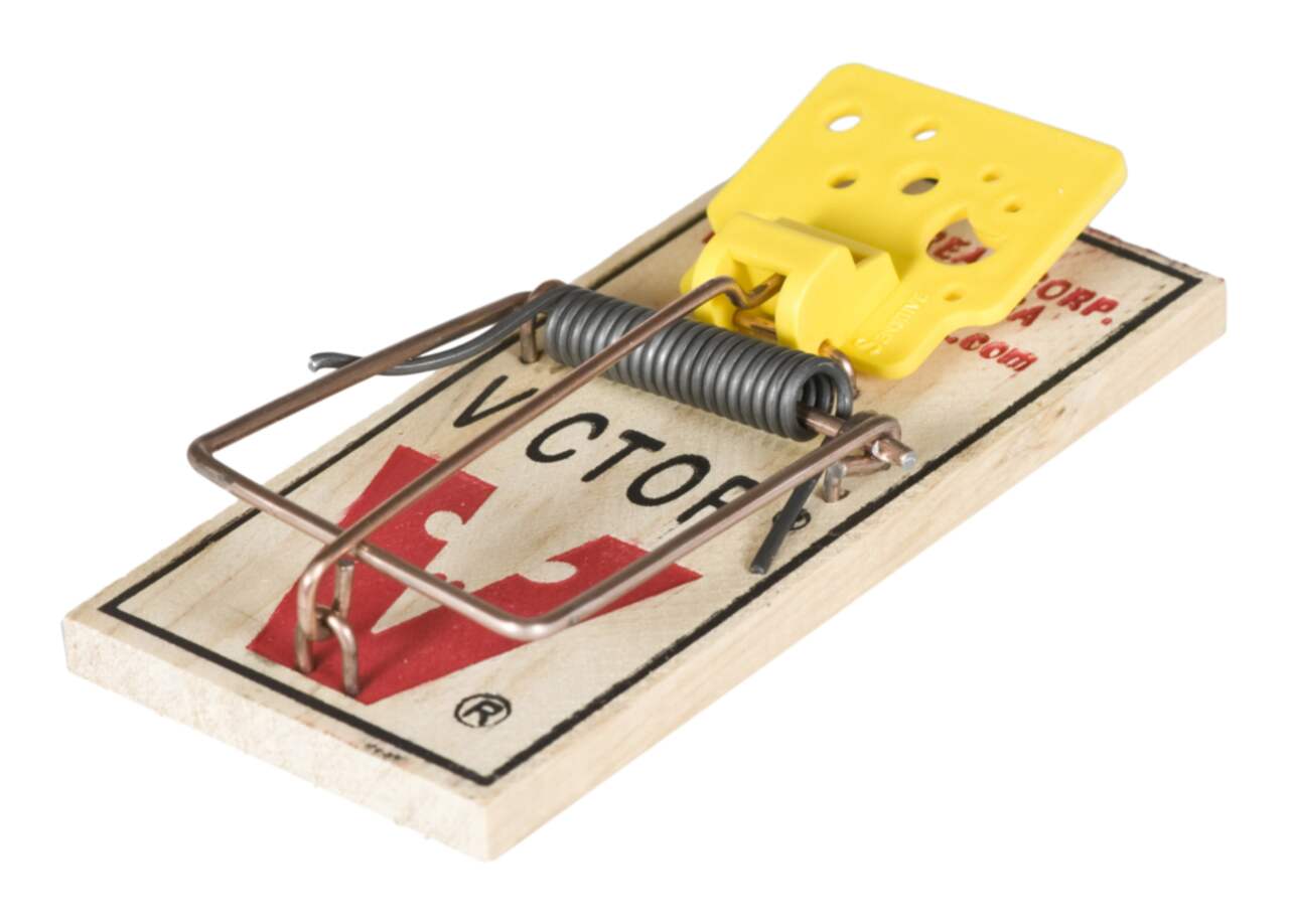 https://media-www.canadiantire.ca/product/seasonal-gardening/gardening/weed-insect-rodent-control/0593534/victor-easy-set-mouse-trap-2-pack-aa03288f-c49d-43c6-8bf9-06b54f9eefc9.png?imdensity=1&imwidth=640&impolicy=mZoom