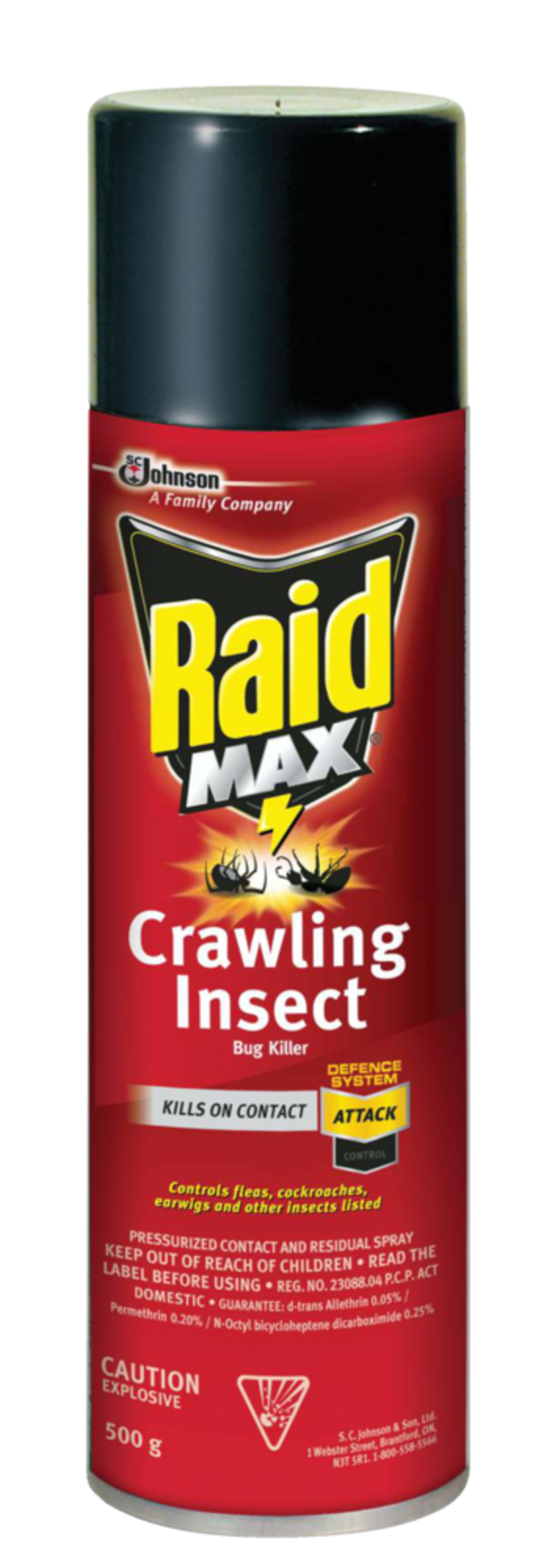 Raid MAX Indoor/Outdoor Ant, Roach, Earwig & Crawling Insect Killer Spray, 500-g Front_Flat