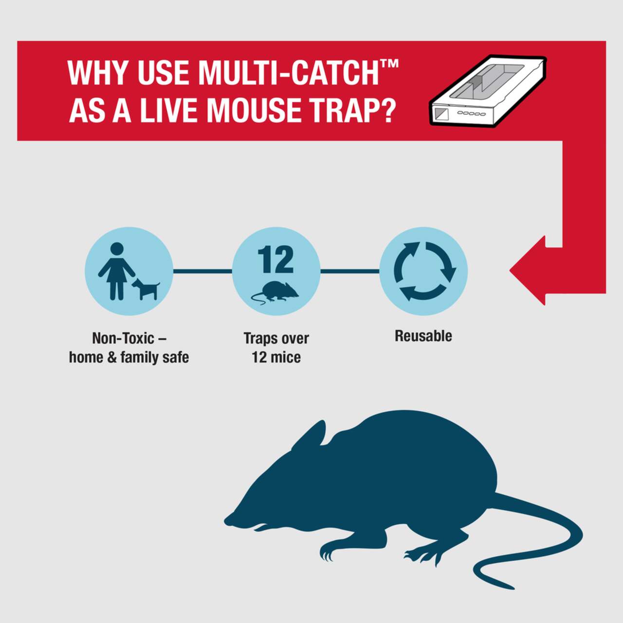 Multi-catch trap catches metal mice