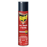 Raid MAX Indoor/Outdoor Ant, Roach, Earwig & Insect Killer, Insecticide Spray, 350-g Front_Flat