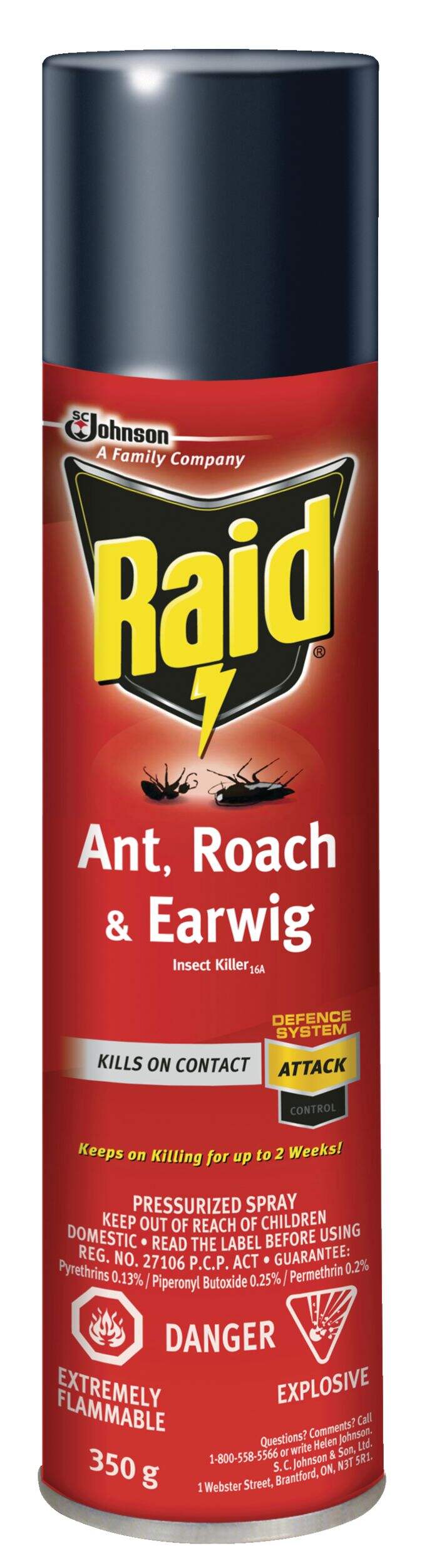 Raid MAX Indoor/Outdoor Ant, Roach, Earwig & Insect Killer, Insecticide Spray, 350-g Front_Flat